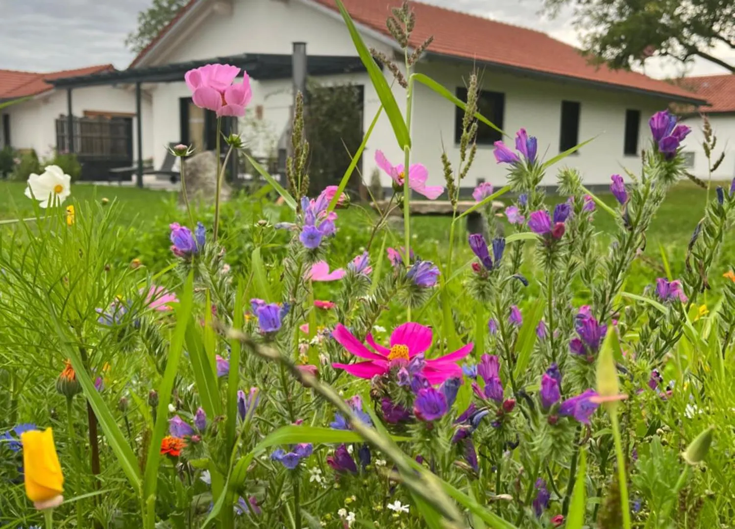 Vila Gschwendnerhof Reitberger-Brandl Röhrnbach Farma